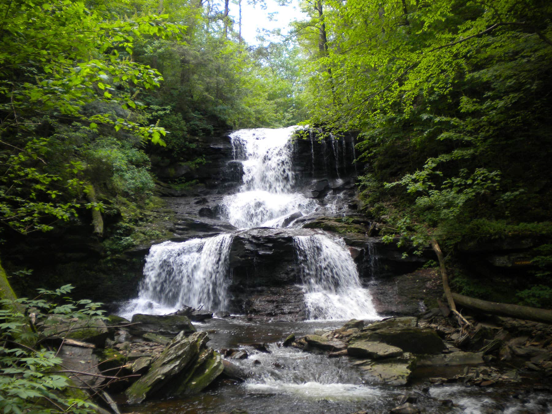 Camper submitted image from Ricketts Glen State Park Campground - 3