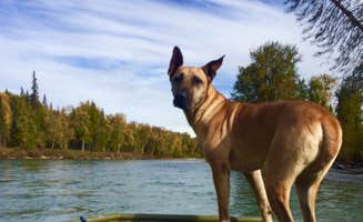 Sierra  S.'s photo of camping with pets at Talkeetna RV & Boat Launch near Talkeetna, AK