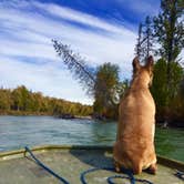 Review photo of Talkeetna RV & Boat Launch by Sierra  S., July 9, 2018