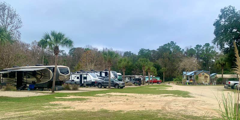 Camper submitted image from Piddler's Pointe RV Resort