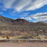 Review photo of Franklin Mountains State Park Campground by Lia M., January 1, 2022