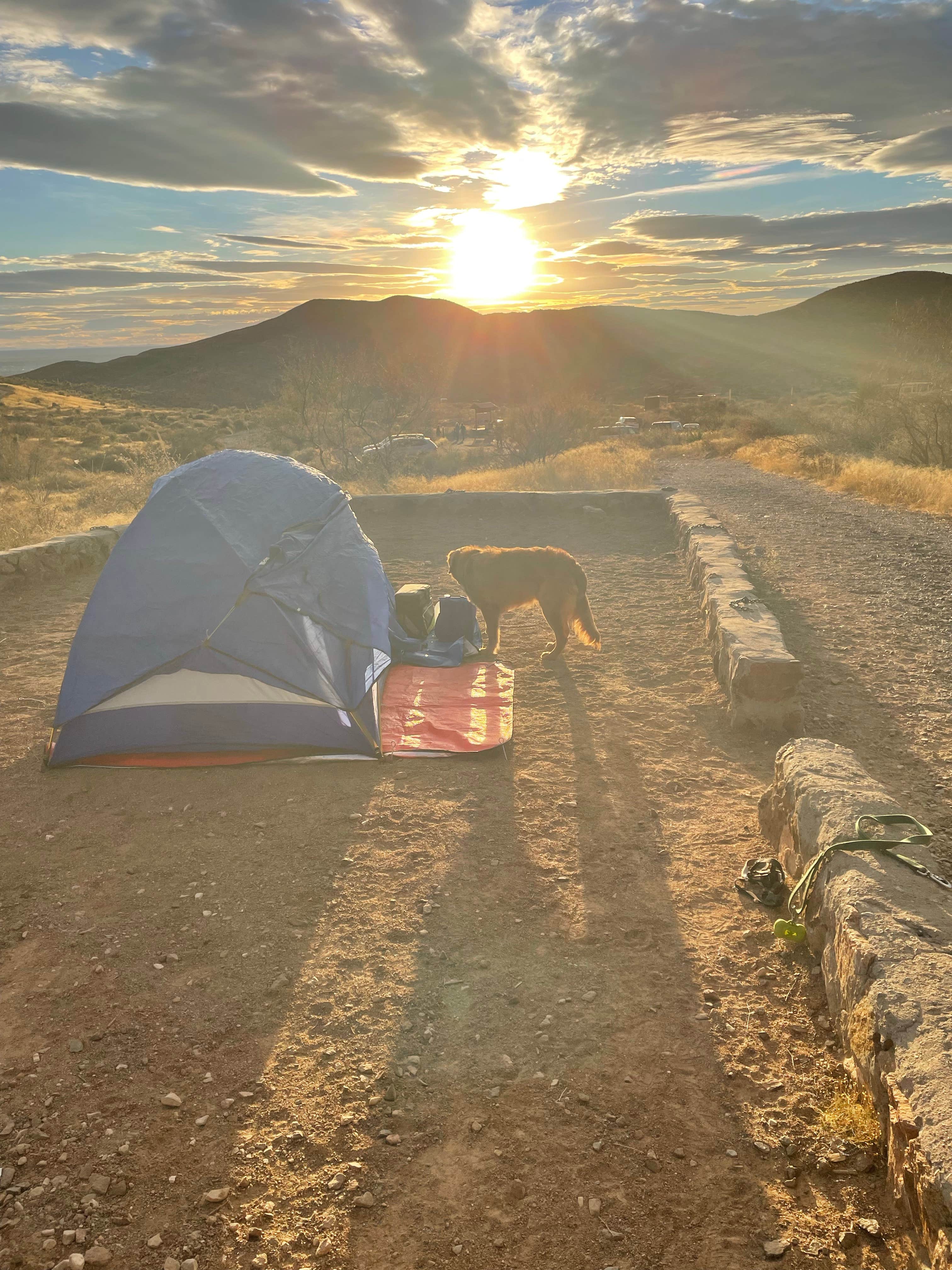 Camper submitted image from Franklin Mountains State Park Campground - 3