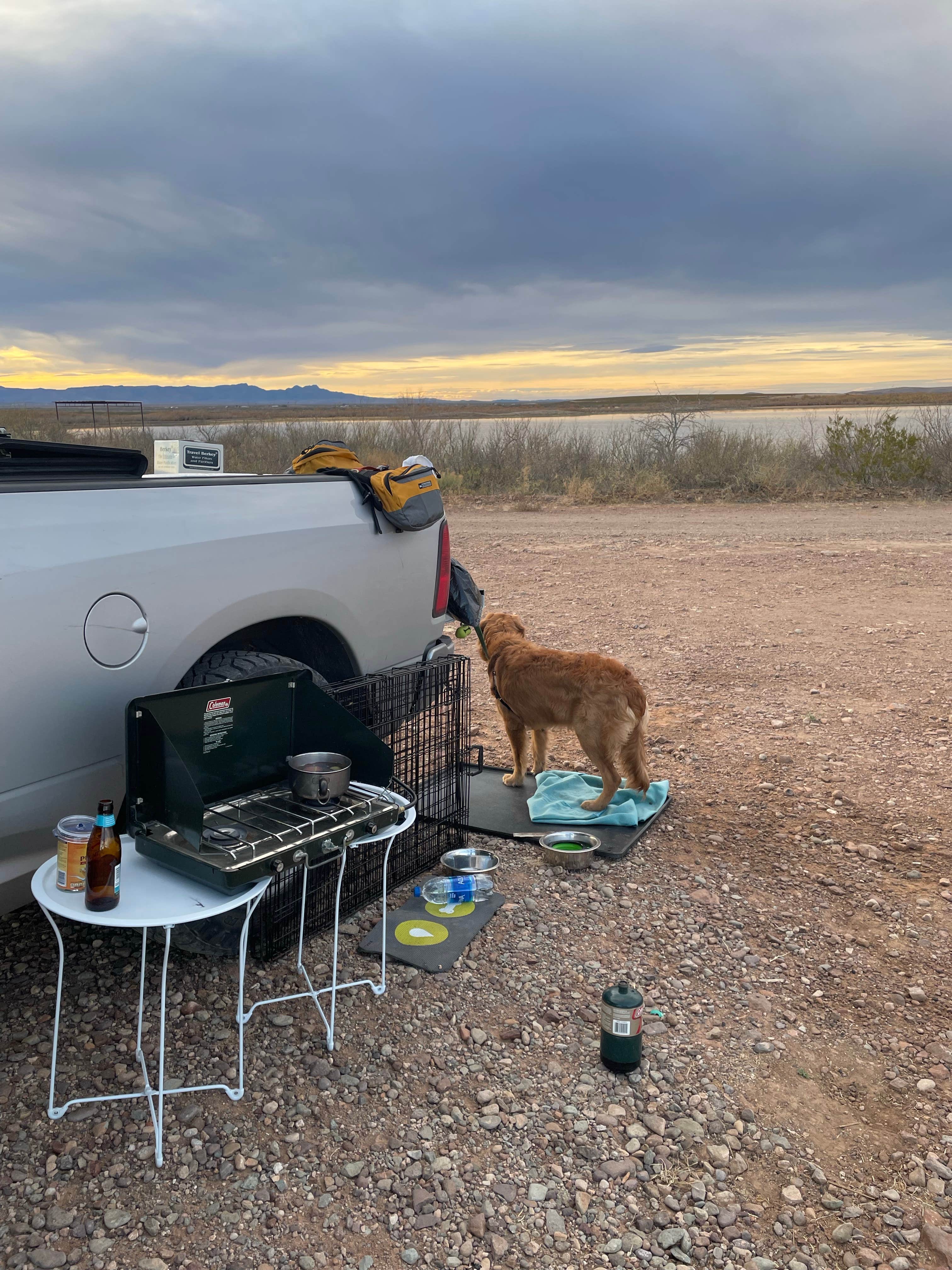 Lia M.'s photo of camping with pets at Balmorhea Lake Public Campground near Balmorhea, TX