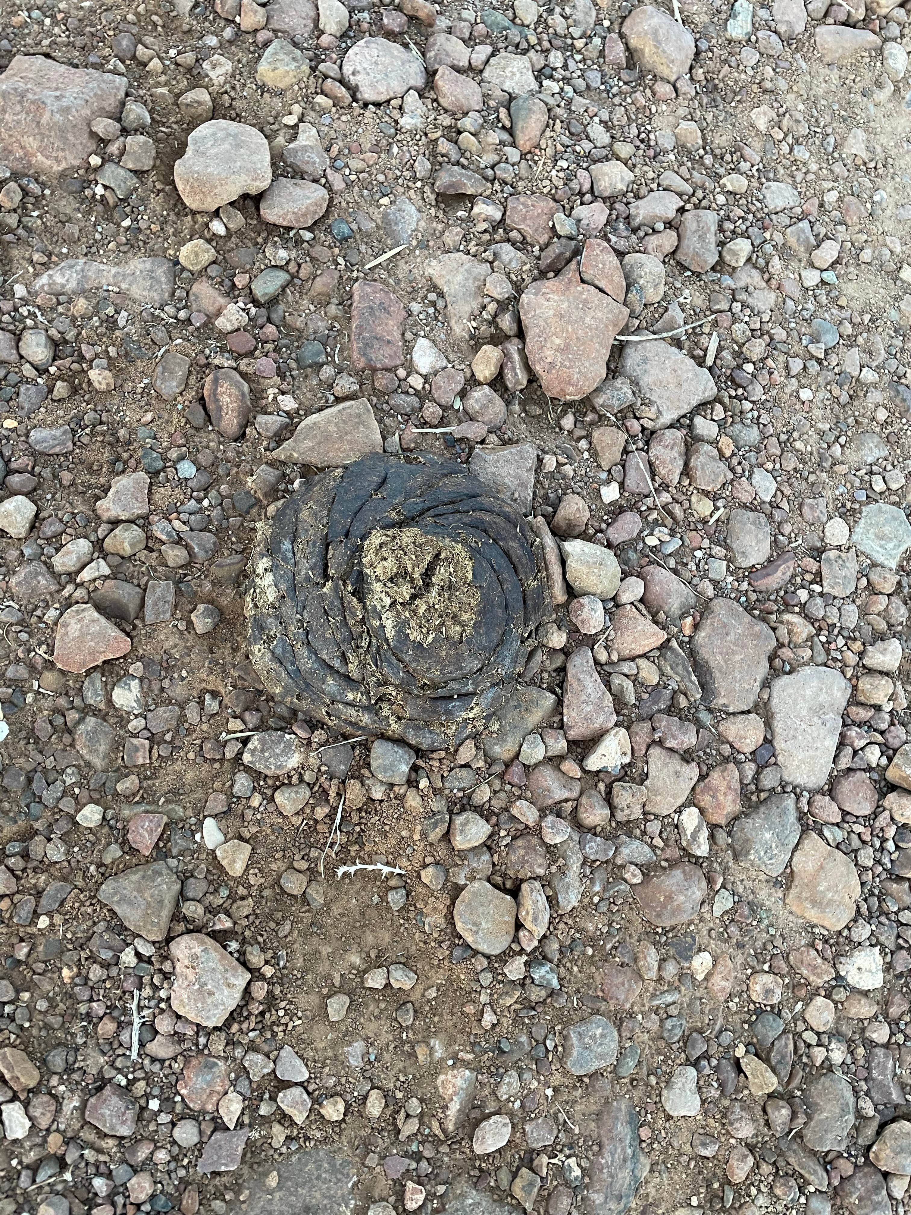 Camper-submitted photo at Balmorhea Lake Public Campground near Balmorhea, TX