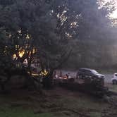 Review photo of Live Oak Campground — Mount Diablo State Park Campground by Jordan L., January 1, 2022