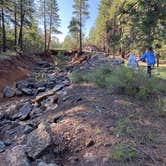 Review photo of Dogtown Lake Campground And Group by Jane , January 1, 2022