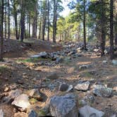 Review photo of Dogtown Lake Campground And Group by Jane , January 1, 2022