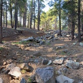 Review photo of Dogtown Lake Campground And Group by Jane , January 1, 2022