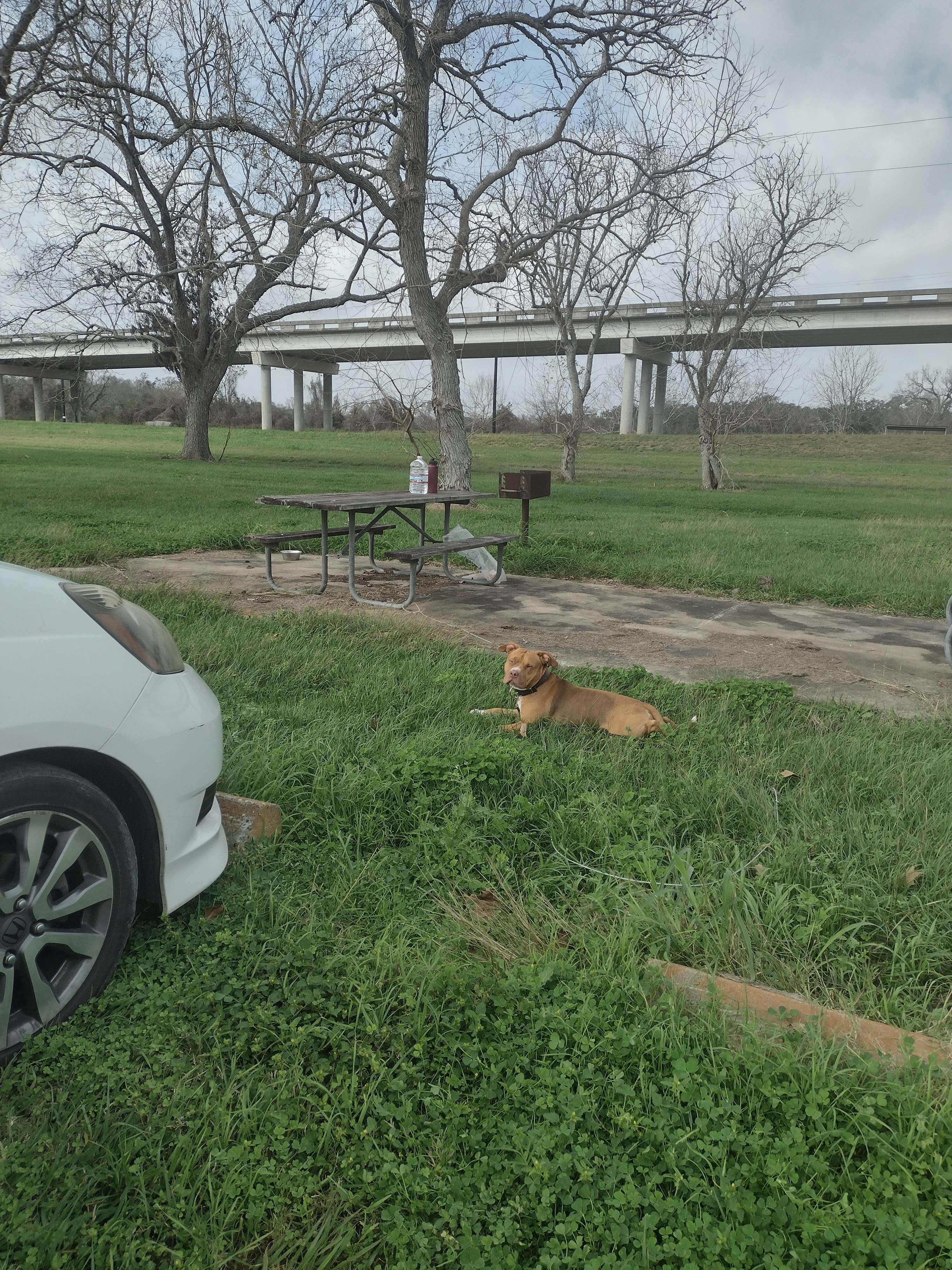 Camper-submitted photo at FM 521 River Park near Bay City, TX