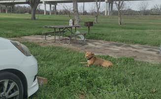 Ang W.'s photo of camping with pets at FM 521 River Park near Damon, TX