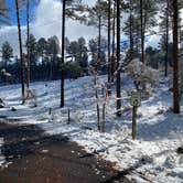 Review photo of White Spar Campground by Jane , January 1, 2022
