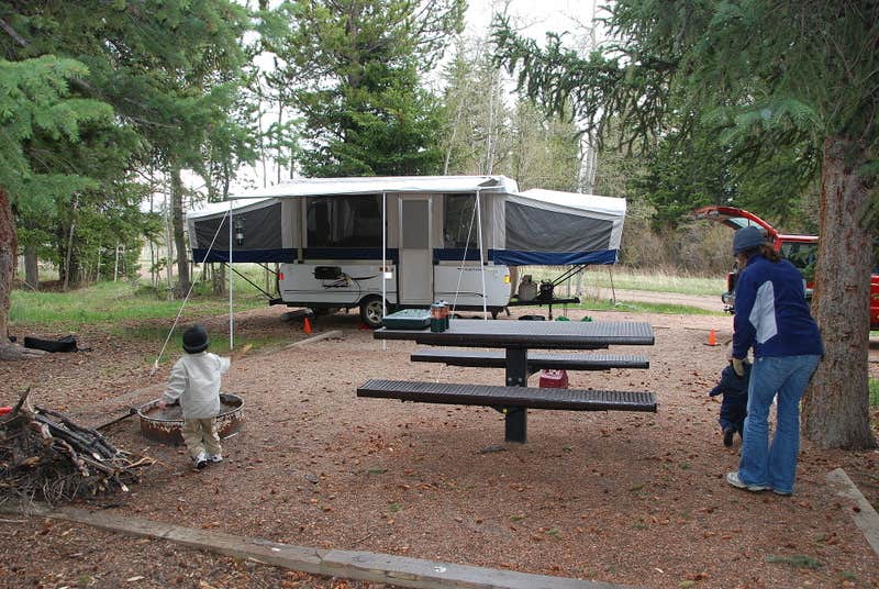 Prof K.'s photo of rv camping at Michigan Creek near Como, CO