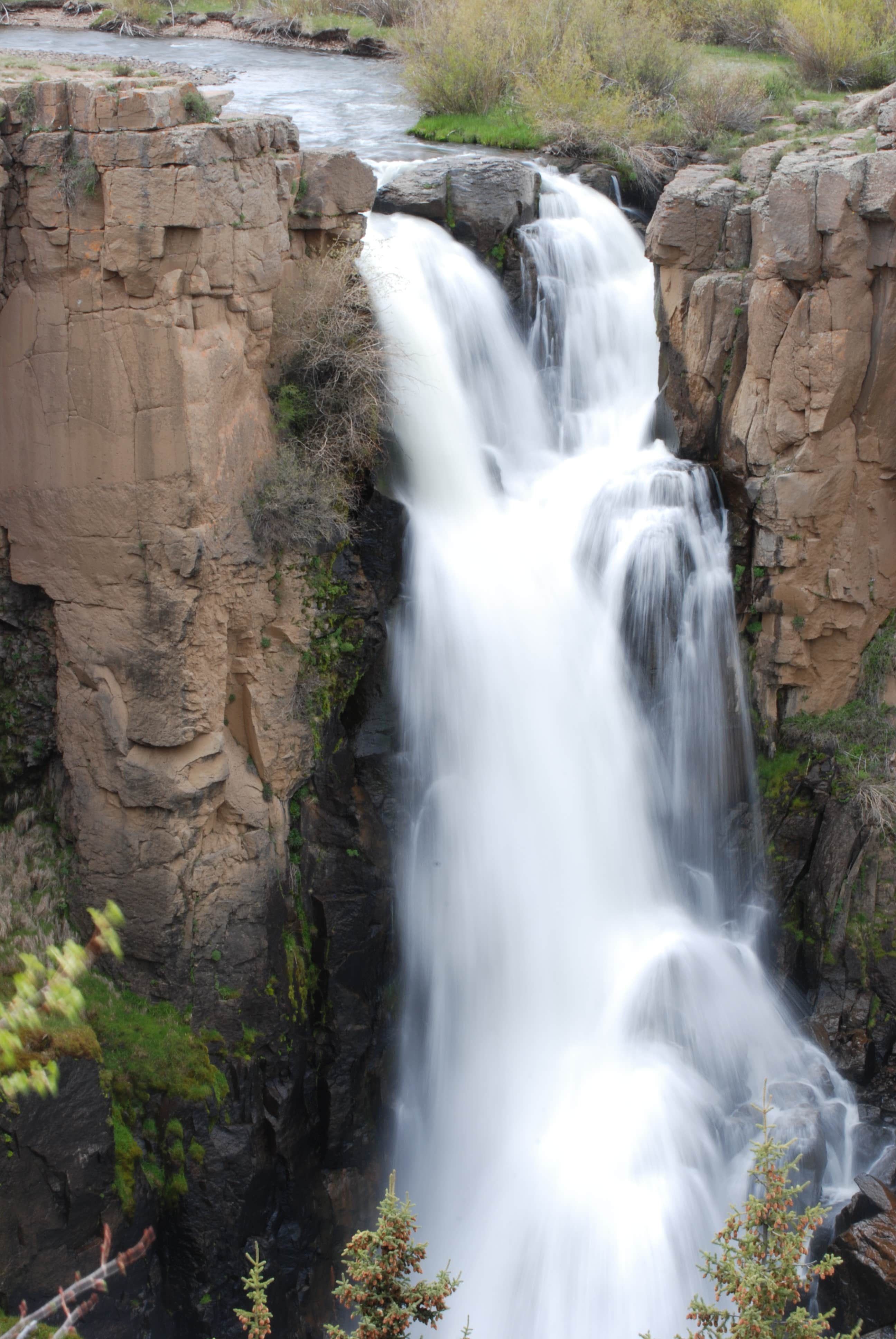 Camper submitted image from Rio Grande National Forest River Hill Campground - 5