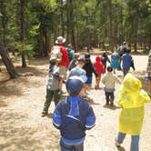 Review photo of Pickle Gulch by Prof K., January 1, 2022