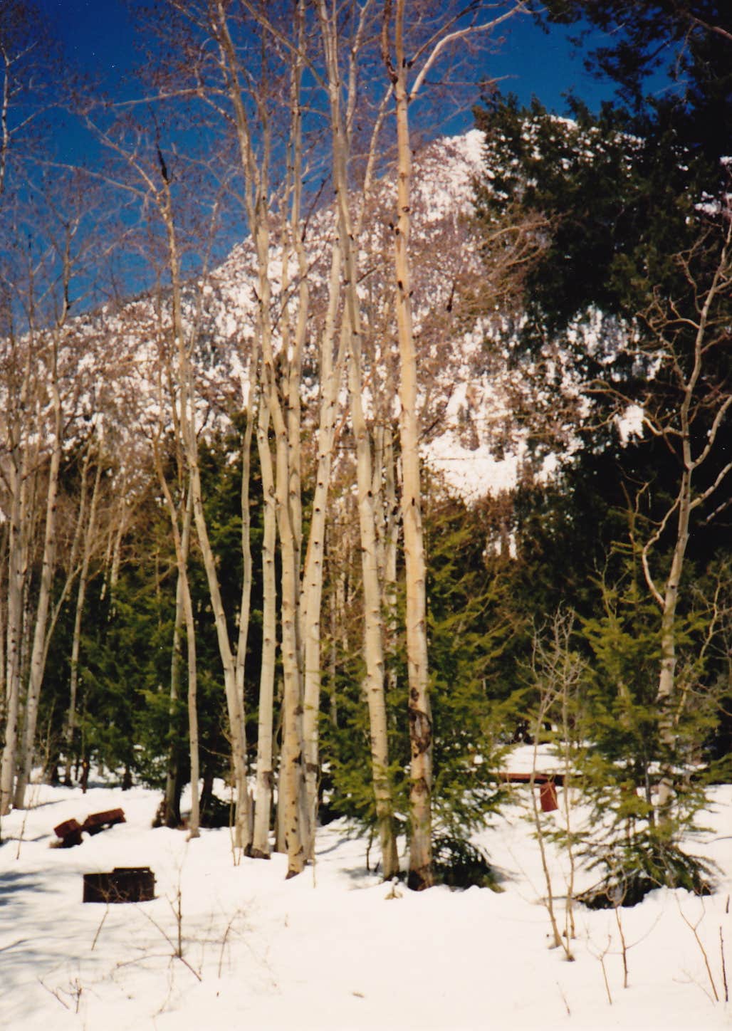 Camper-submitted photo at Angel Of Shavano Group — Psicc near Monarch, CO