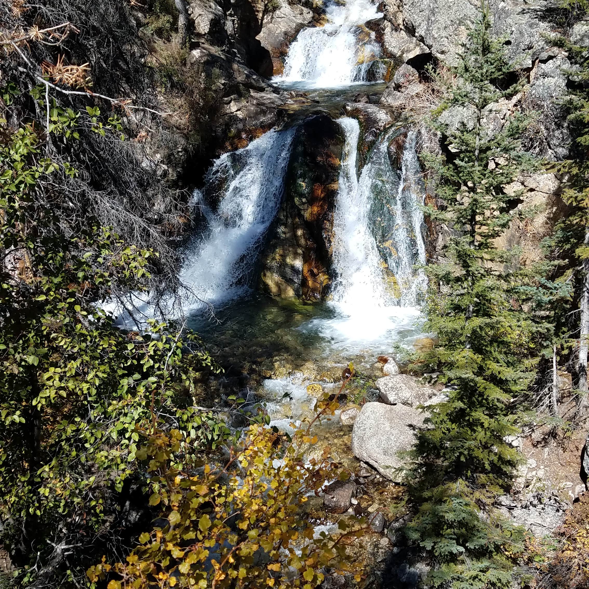 Escape to the Clouds: Your Guide to Colorado's Angel of Shavano Campground