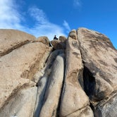 Review photo of Indian Cove Campground — Joshua Tree National Park by Nicole J., January 2, 2022