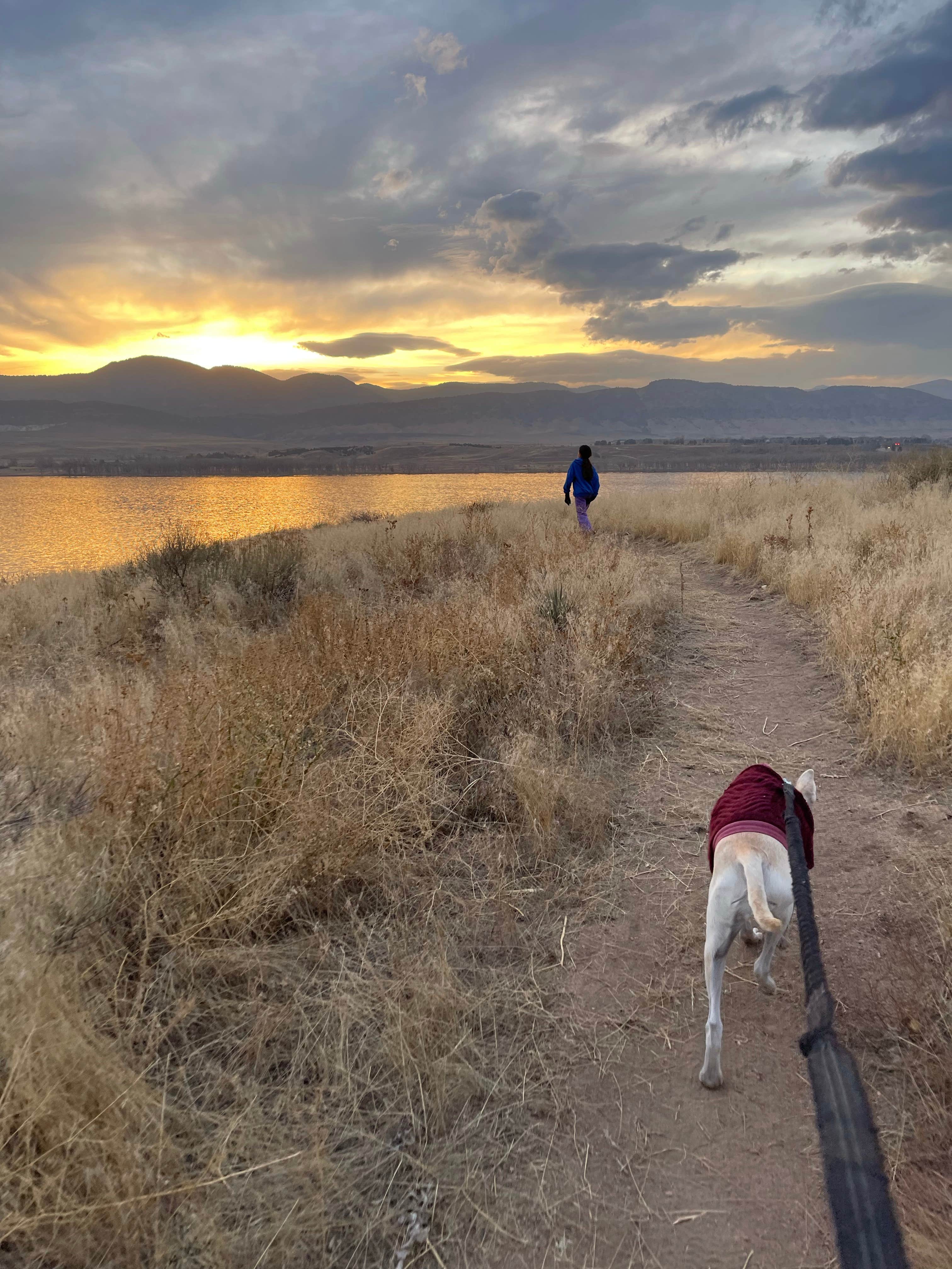 sunny B.'s photo of camping with pets at Chatfield State Park Campground near Parker, CO