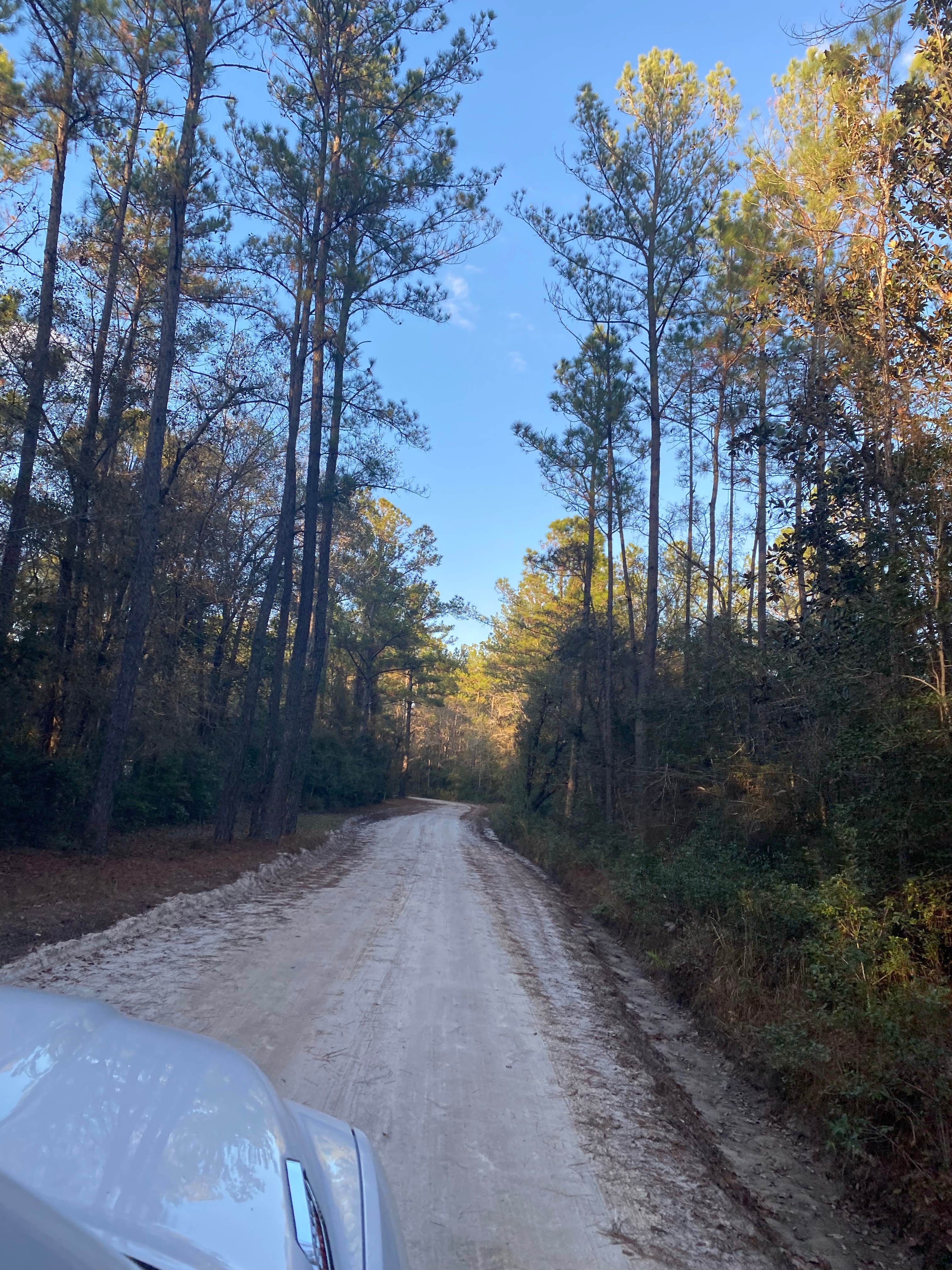 Camper submitted image from Deep Bend Landing - 5