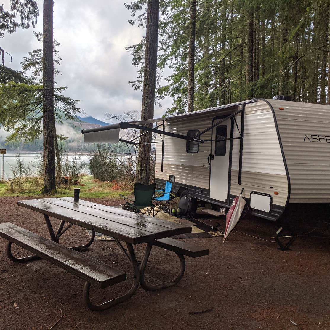 Swift Forest Camp Cougar, Washington