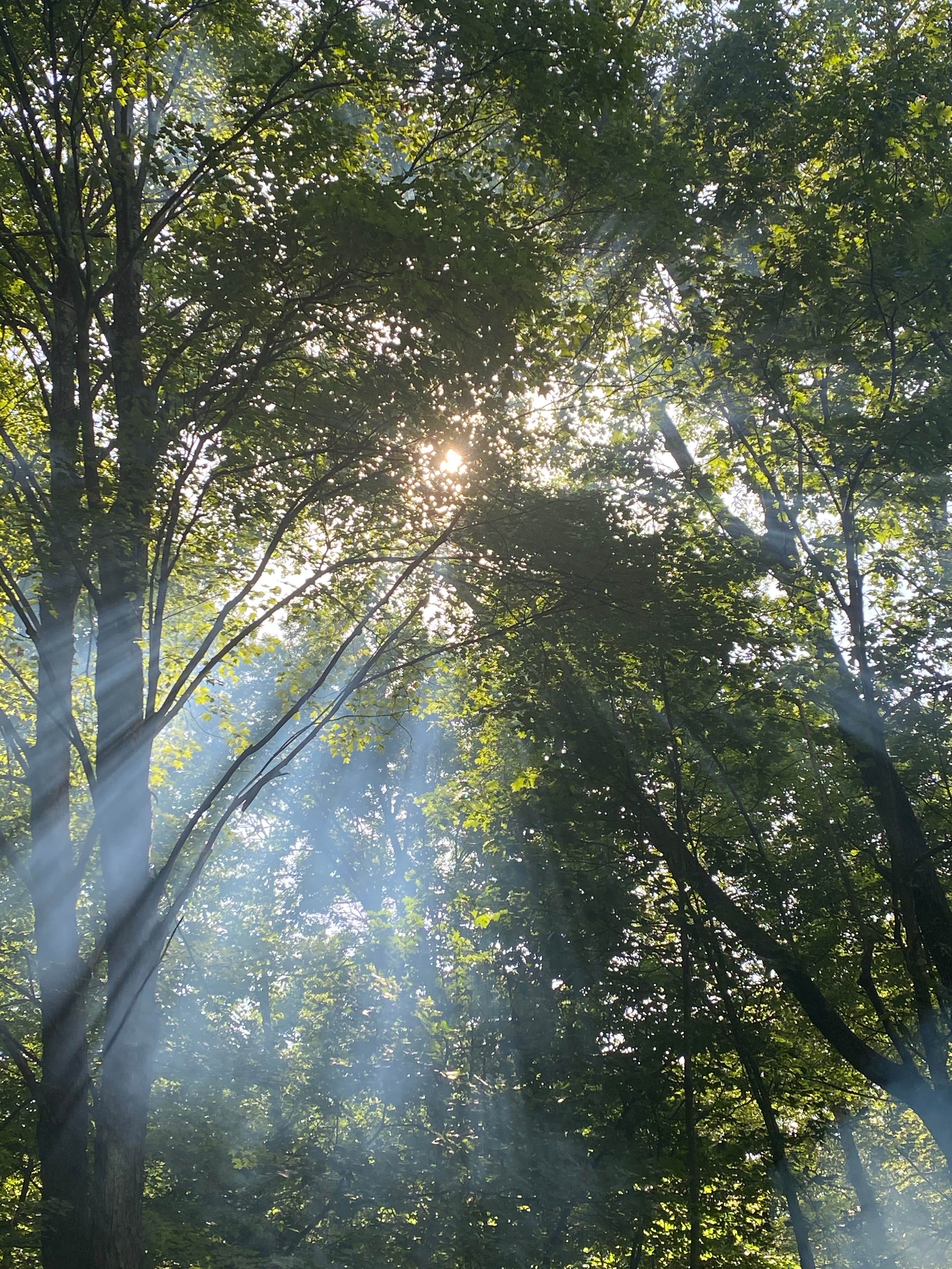 Camper-submitted photo at Two Mile Run County Park near Guys Mills, PA