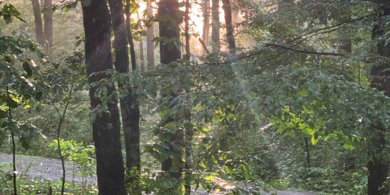 Camper submitted image from Two Mile Run County Park