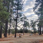 Review photo of Tool Box Springs - Yellow Post Campground by TR , January 2, 2022