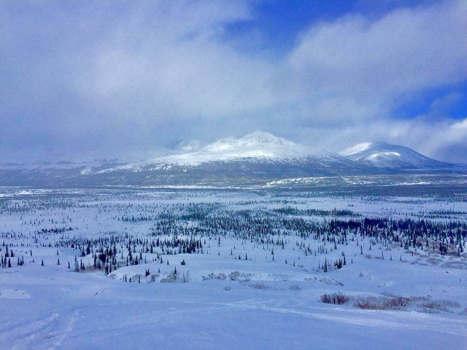 Camper-submitted photo at Backcountry Unit 13: Mount Eielson — Denali National Park near Denali National Park and Preserve