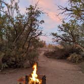 Review photo of Cottonwood Campground — Roper Lake State Park by Robert F., January 2, 2022