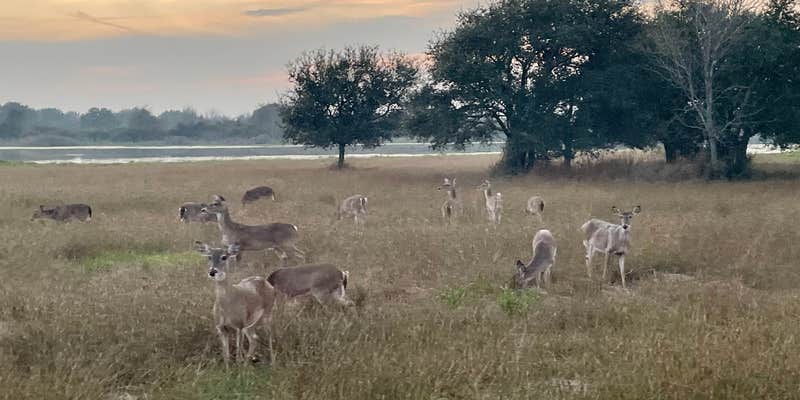 Camper submitted image from Brackenridge Recreation Complex