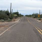 Review photo of Cactus Forest Dispersed by Greg L., January 2, 2022