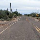 Review photo of Cactus Forest Dispersed by Greg L., January 2, 2022