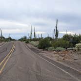 Review photo of Cactus Forest Dispersed by Greg L., January 2, 2022