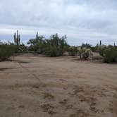 Review photo of Cactus Forest Dispersed by Greg L., January 2, 2022