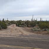 Review photo of Cactus Forest Dispersed by Greg L., January 2, 2022