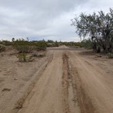 Review photo of Cactus Forest Dispersed by Greg L., January 2, 2022