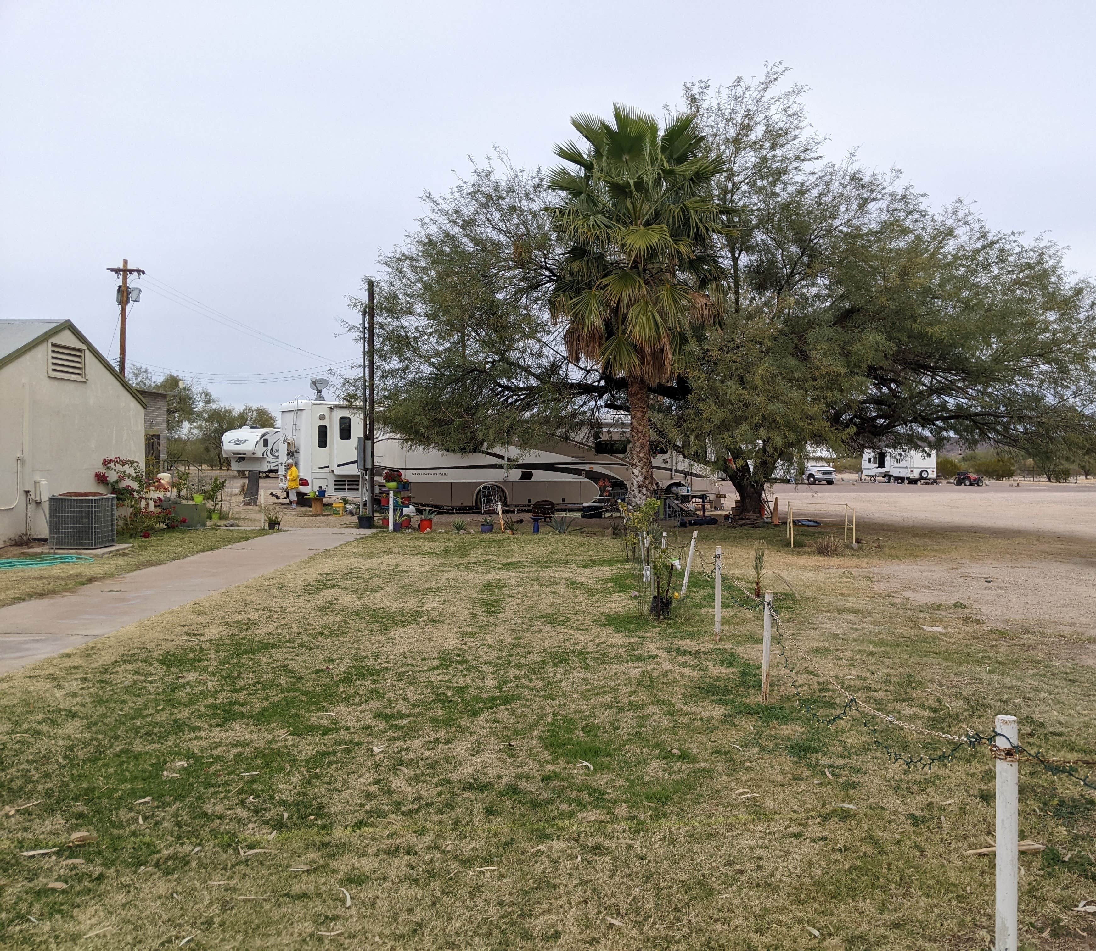 Camper submitted image from Ajo Community Golf Course and RV Campground - 4