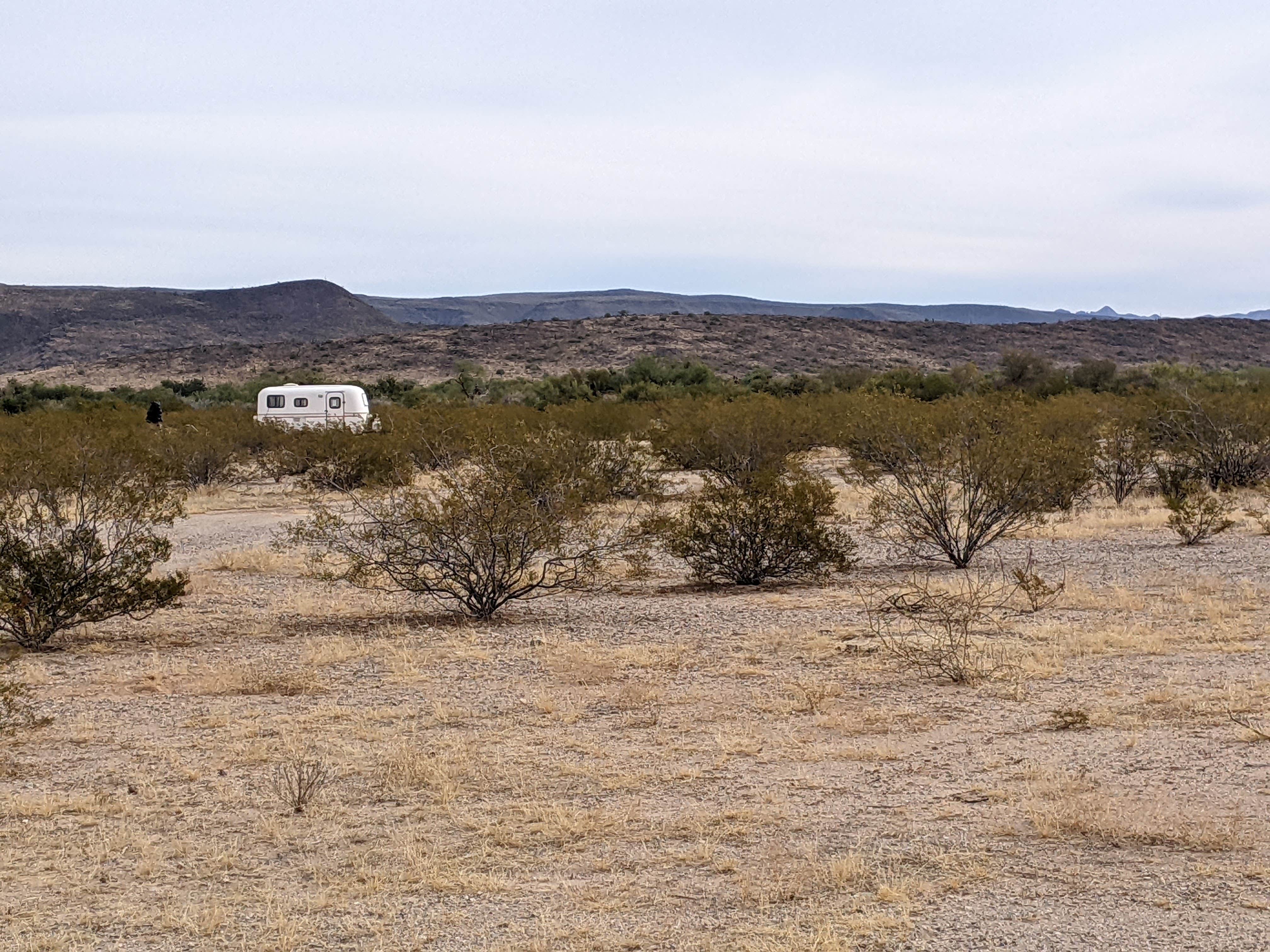 Camper submitted image from Ajo Regional Park - Roping Arena Camping Area - 4