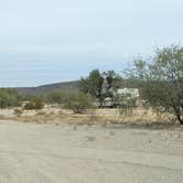 Review photo of Ajo Regional Park - Roping Arena Camping Area by Greg L., January 2, 2022