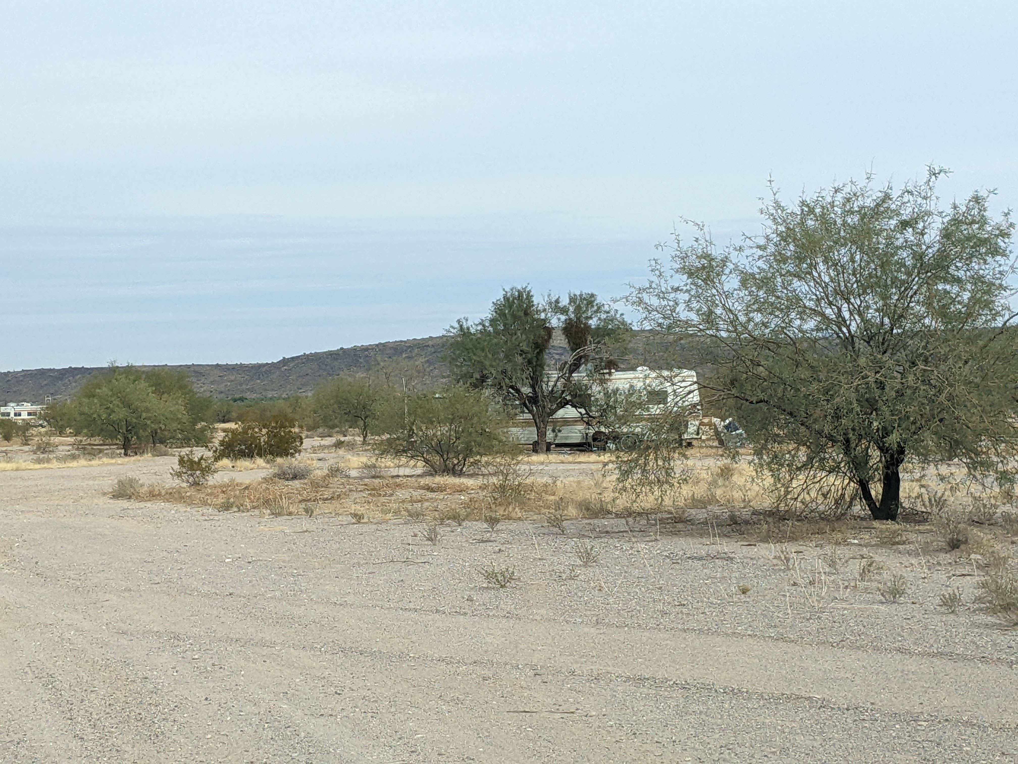 Camper submitted image from Ajo Regional Park - Roping Arena Camping Area - 3