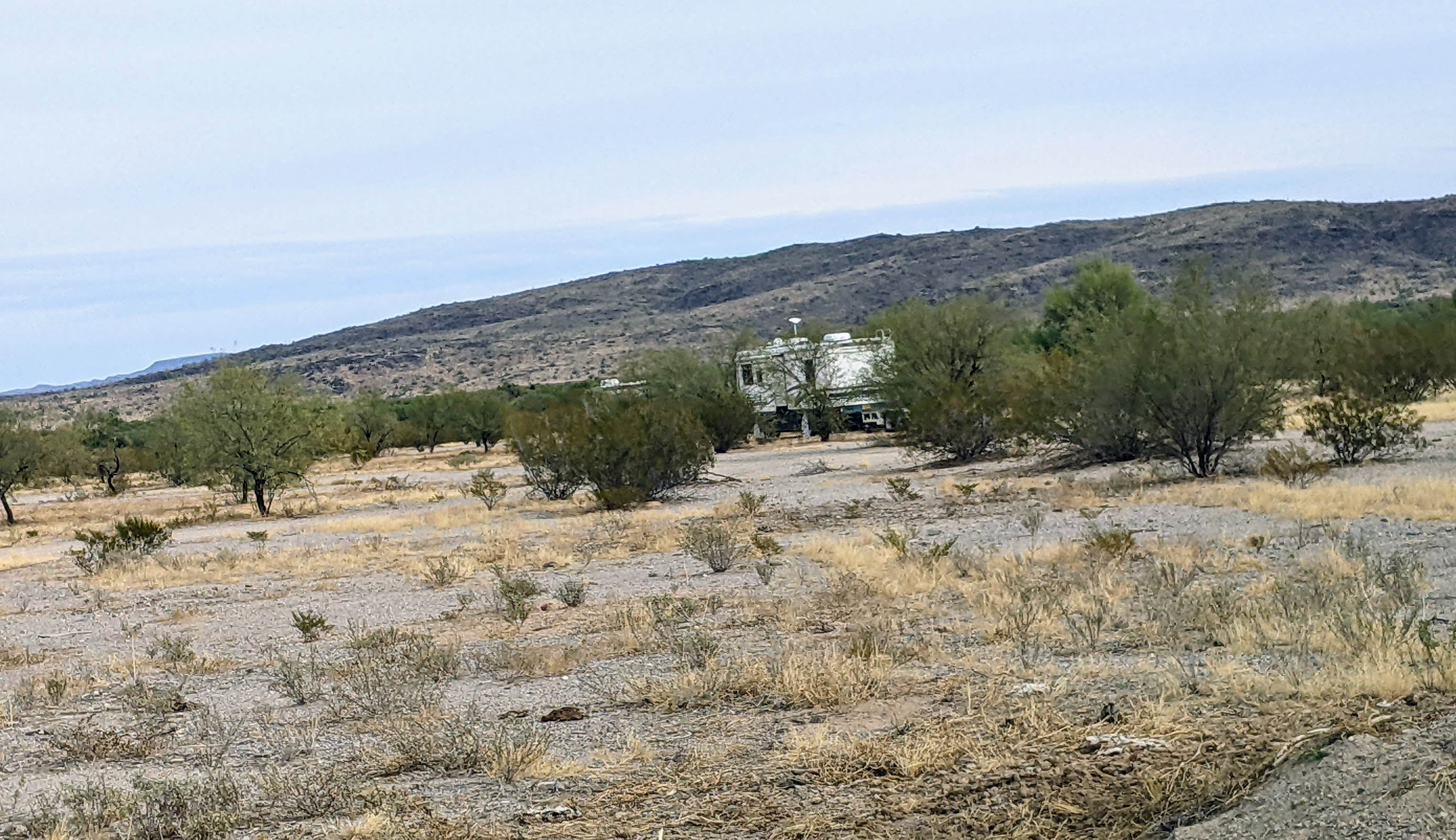 Camper submitted image from Ajo Regional Park - Roping Arena Camping Area - 2