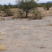 Review photo of Ajo Regional Park - Roping Arena Camping Area by Greg L., January 2, 2022
