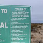 Review photo of Ajo Regional Park - Roping Arena Camping Area by Greg L., January 2, 2022