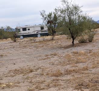 Camper-submitted photo from Ajo Regional Park - Roping Arena Camping Area