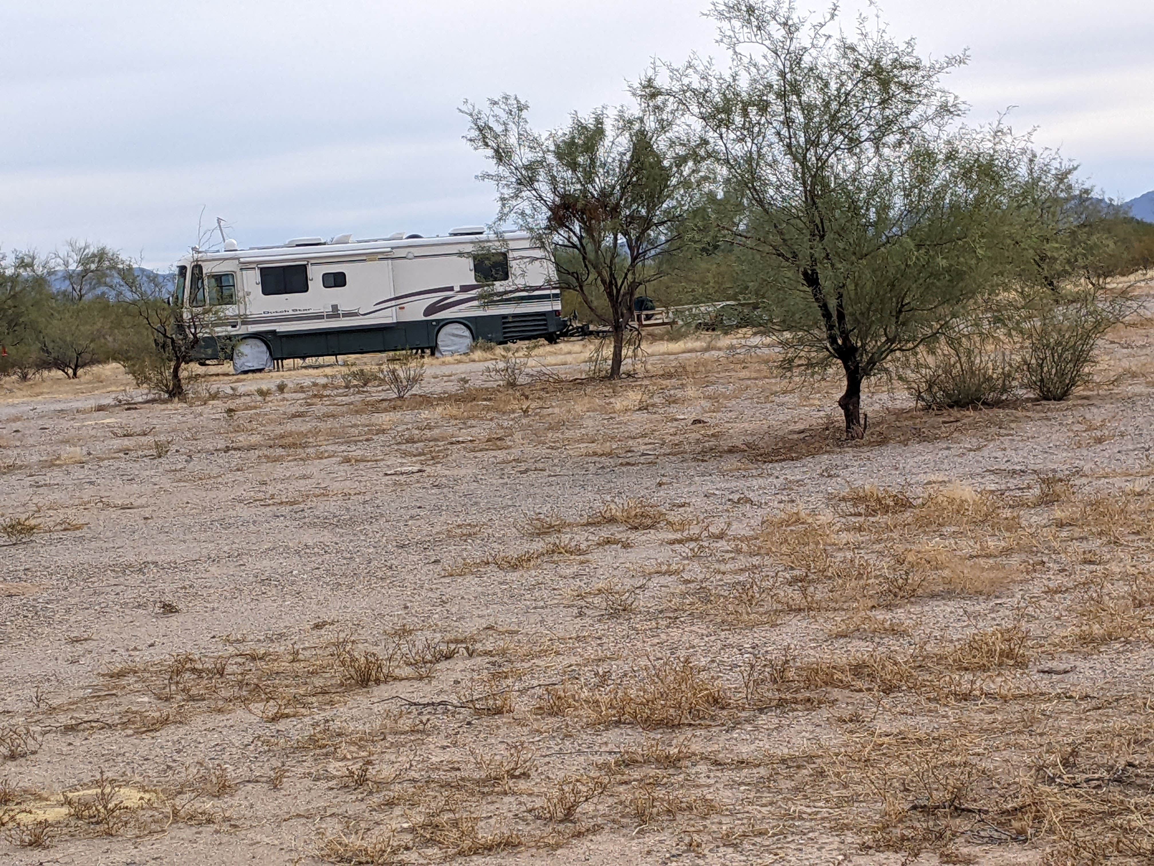 Camper submitted image from Ajo Regional Park - Roping Arena Camping Area - 1