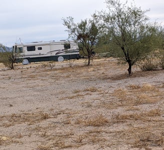 Camper-submitted photo from Ajo Regional Park - Roping Arena Camping Area