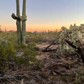 Review photo of Usery Mountain Regional Park by anna L., January 2, 2022