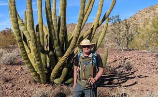 Greg L.'s photo of camping with pets at Darby Wells Rd BLM Dispersed near Organ Pipe Cactus National Monument