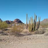 Review photo of Darby Wells Rd BLM Dispersed by Greg L., January 2, 2022