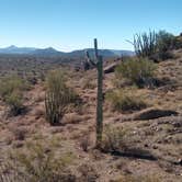 Review photo of Darby Wells Rd BLM Dispersed by Greg L., January 2, 2022